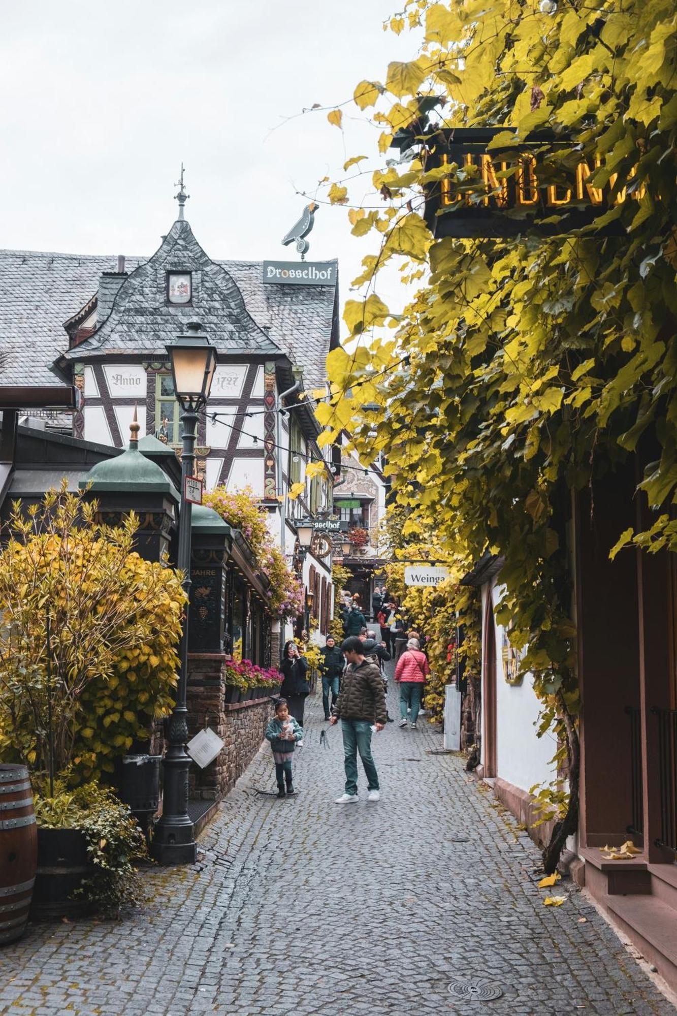 Hotel Zur Loreley - Garni Sankt Goar ภายนอก รูปภาพ